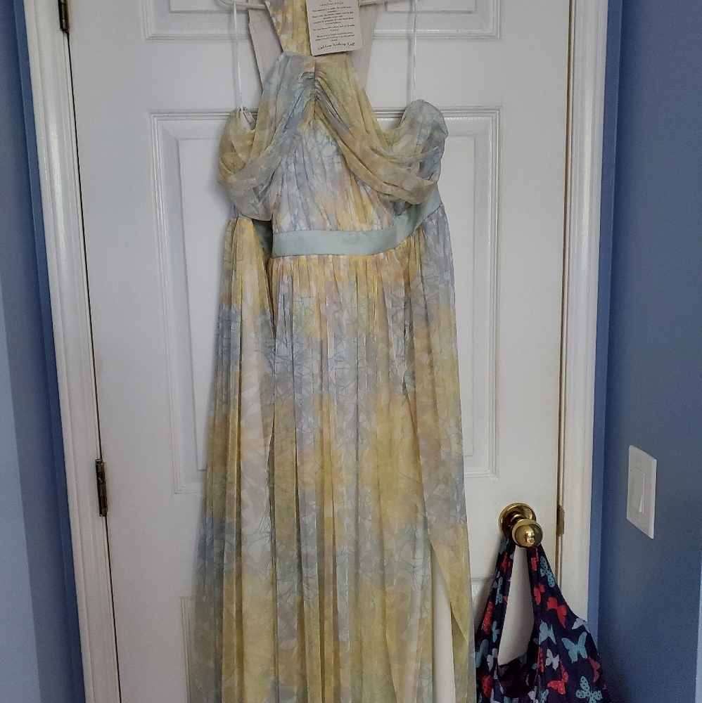 Anaya Plus Size Dress